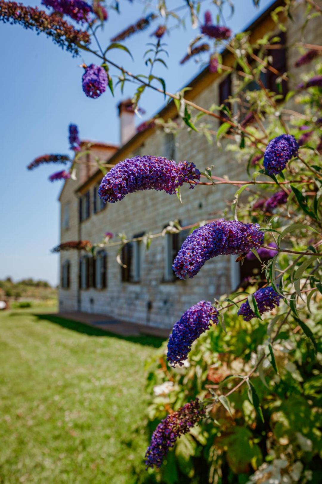 Alle Pendici Del Conero Sirolo Extérieur photo